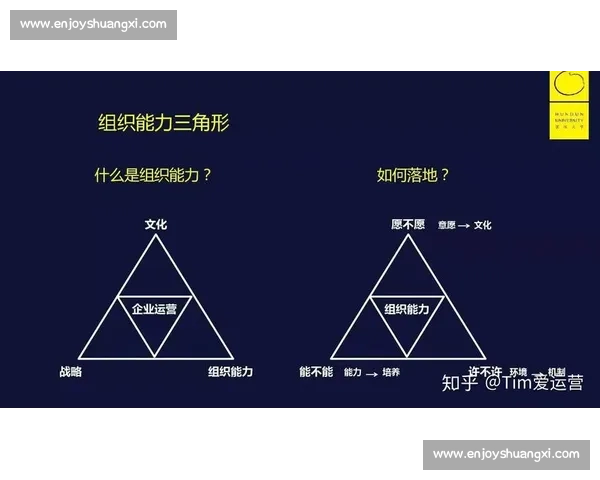 以组织能力提升为核心的全面升级与发展策略研究